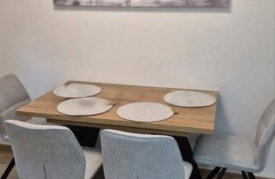 Rent of a cozy 2-room apartment, 50 m², Voždovac district, Belgrade, Serbia